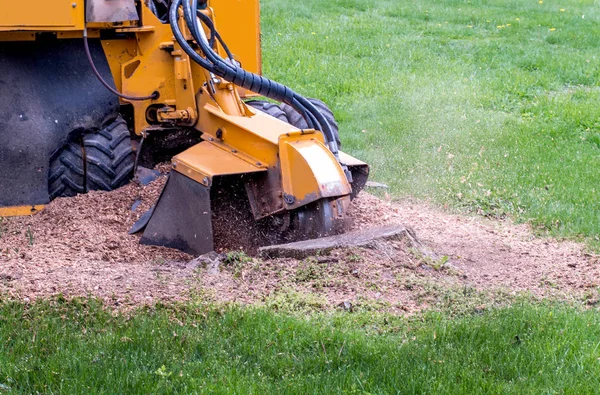 Stump grinder chewing through a stubborn tree stump